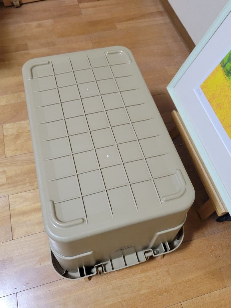 For subekorokai Only: GORDON MILLE 50L Trunk Cargo
